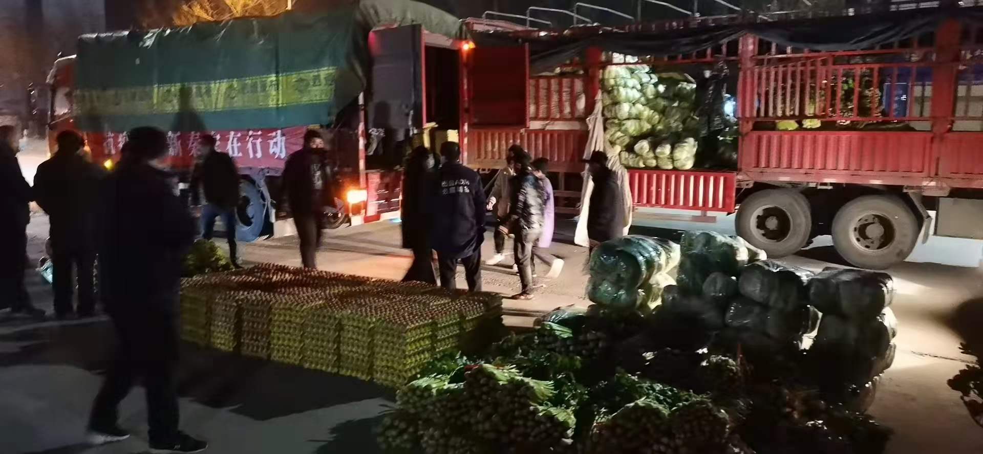 感謝黨和政府對我公司送來新鮮蔬菜，愿，國無恙，山河永固，加油，西安！
